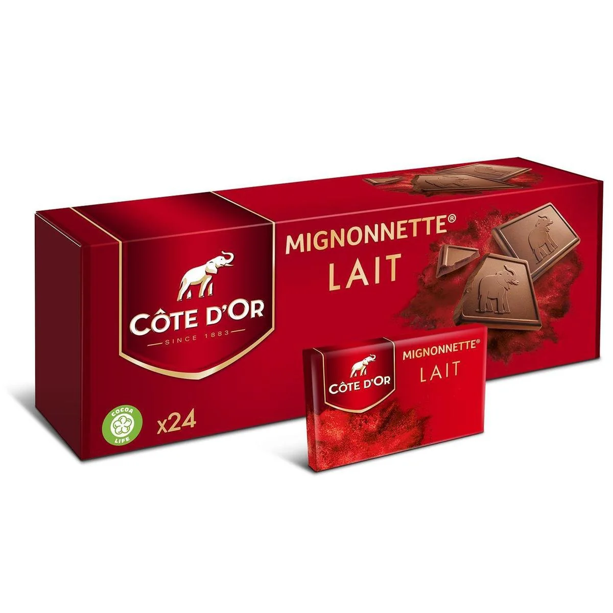24 mignonnettes chocolat au lait