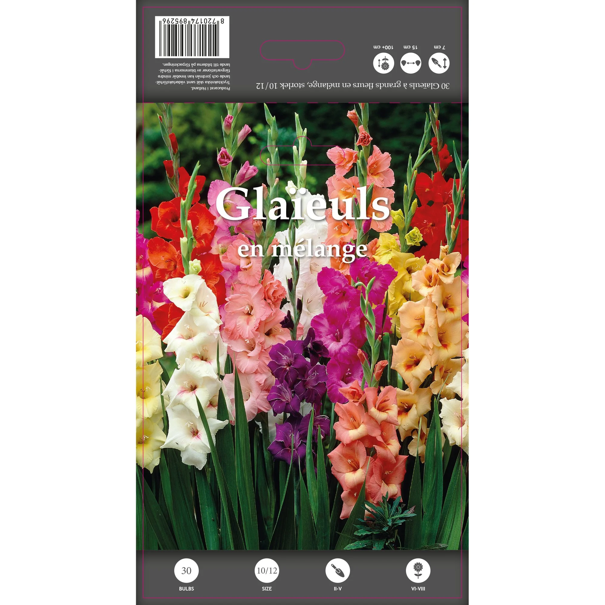30 glaieuls en mélange