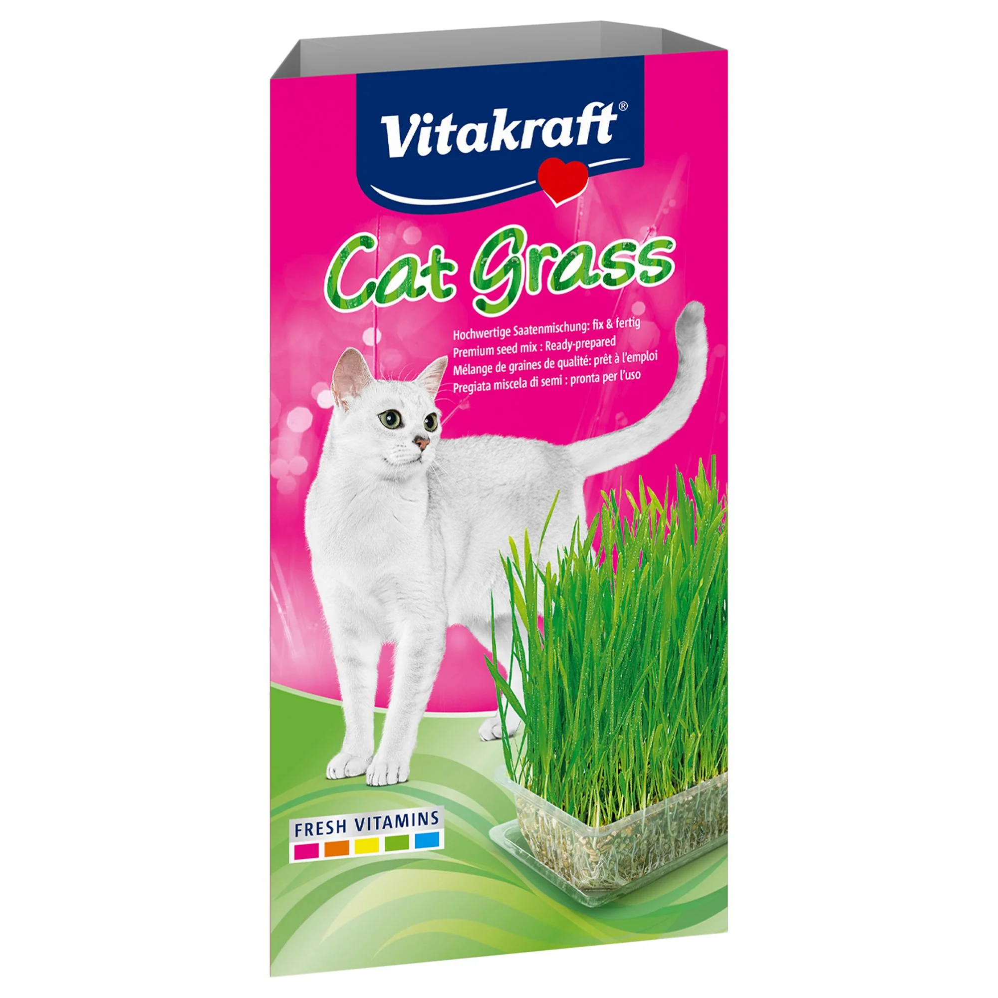 Herbe à chat