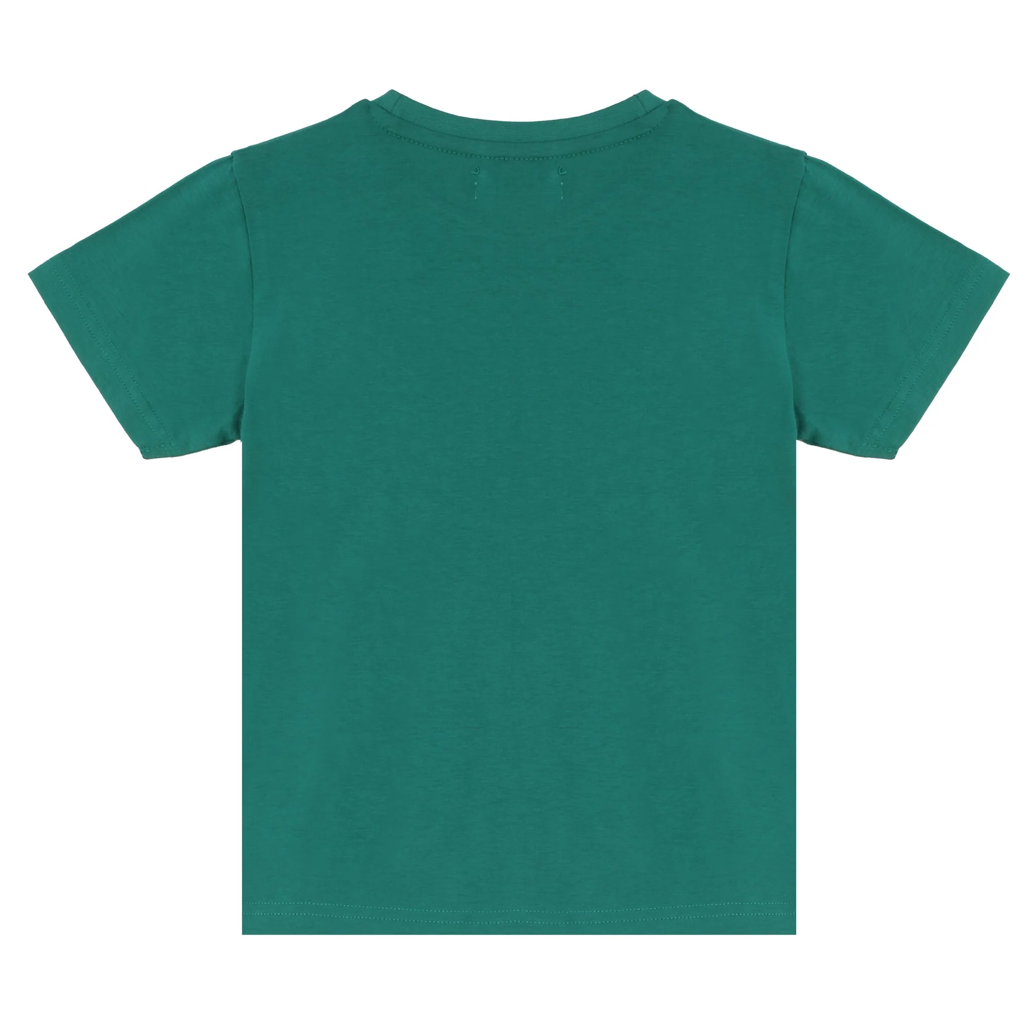 Lot de 2 tee-shirts manches courtes avec animations 3/12 ans - Vert - Image 3