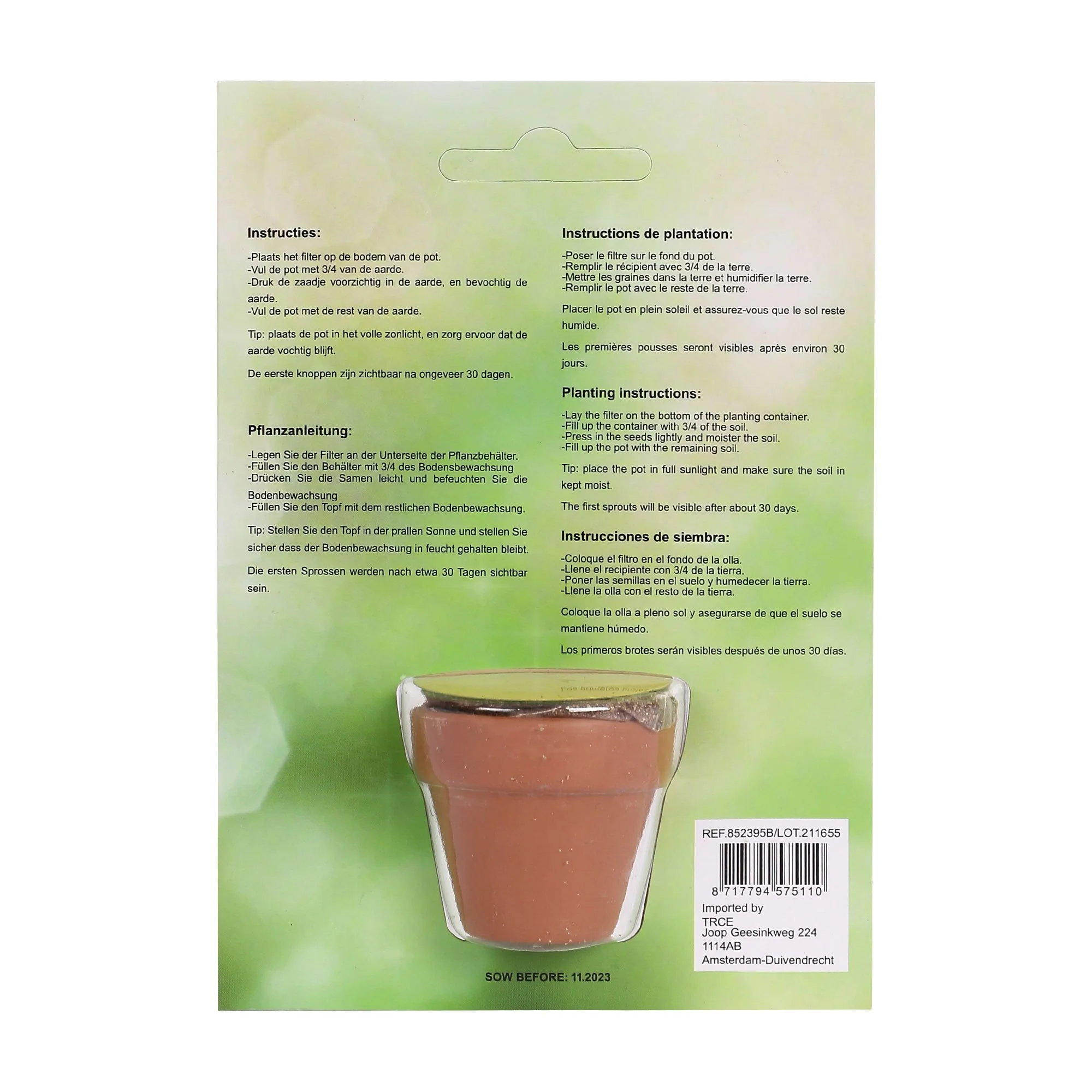 Mini plante carnivore - Image 2