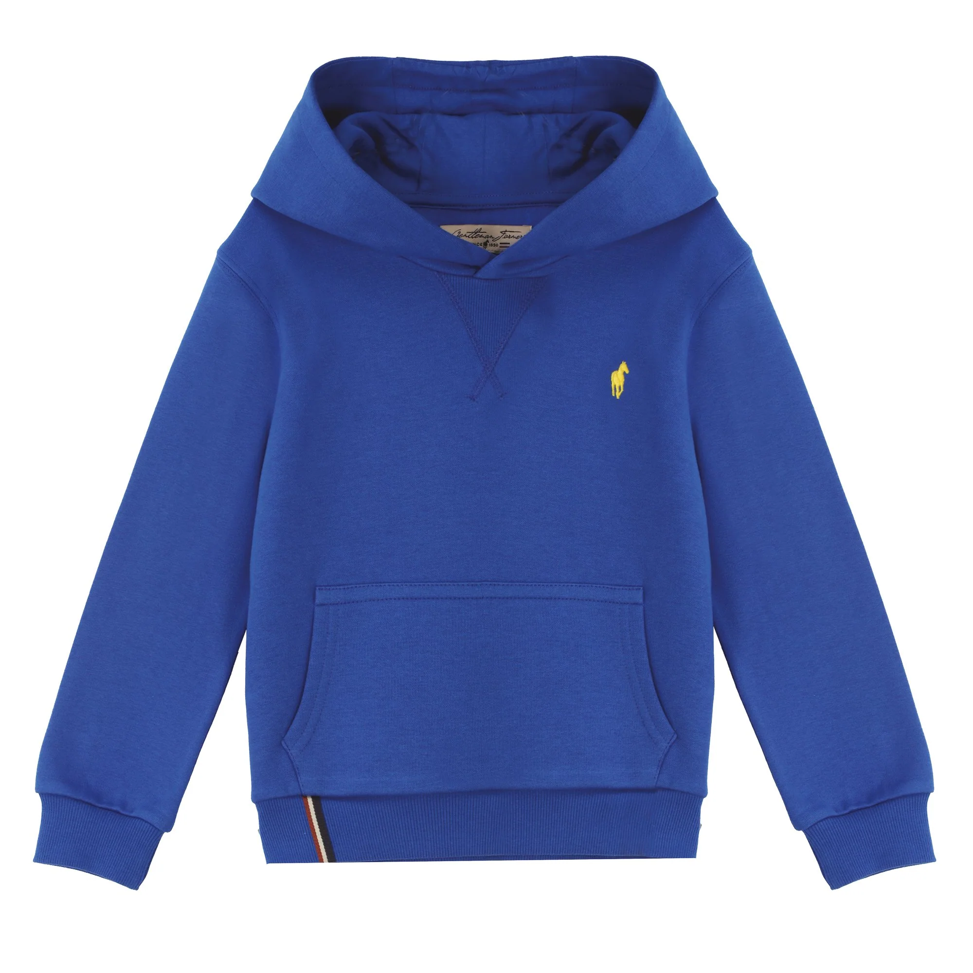 Sweat Ă capuche avec broderie 3/12 ans - Bleu